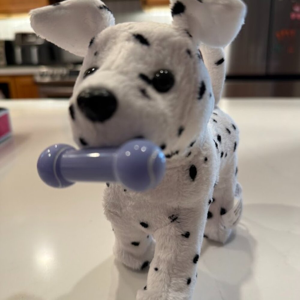 American Girl Doll - Isabelle Doll of the Year 2014 with outfits and accessories - Picture 2 of 10